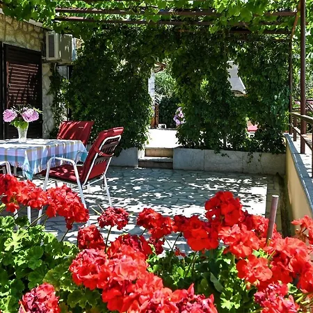 Lara * Mali Losinj
