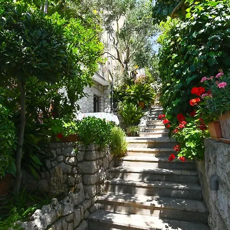 Lara * Mali Losinj