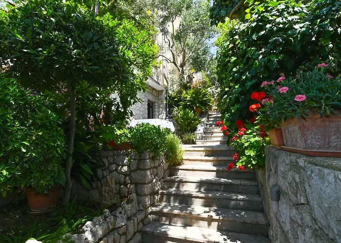 Lara * Mali Losinj